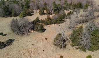 000 County Road 413, Alton, MO 65606