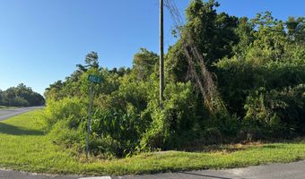 215 4th St, Apalachicola, FL 32320