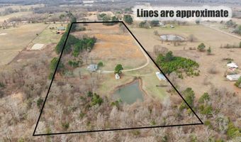 350 Private Road 6937 F17s, Alba, TX 75410