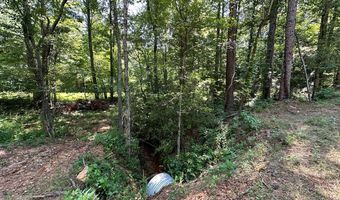 George Green Rd, Tallapoosa, GA 30176
