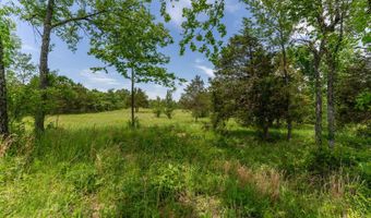 676 County Road 403, Alton, MO 65606