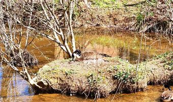 624 Fairhaven Dr P3, Andrews, NC 28901