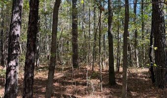 0 Owens Ave SW, Attalla, AL 35954