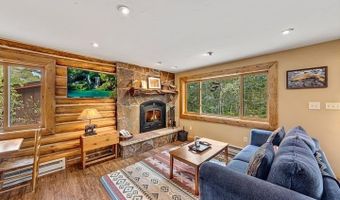 209 Deer Path Ln, Almont, CO 81230
