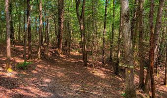54 E Ridge Rd, Allardt, TN 38504