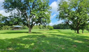 3350 SE Mount Pleasant Ln, Bogue Chitto, MS 39629