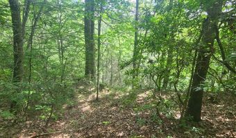 20 Bluff View Loop, Allardt, TN 38504