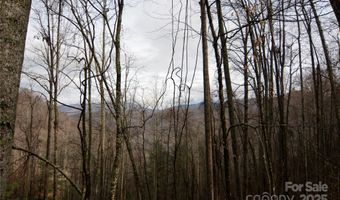 Jacks Knob Road, Barnardsville, NC 28709