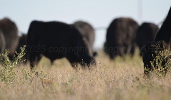 State Highway 214, Adrian, TX 79001