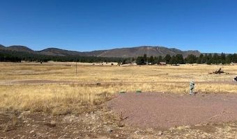 6 County Road 2331, Alpine, AZ 85920
