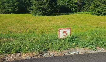 Lot 5 Twin Ponds Lane, Banner Elk, NC 28604