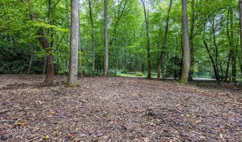 1034 Chestnut Flats Rd, Andrews, NC 28901