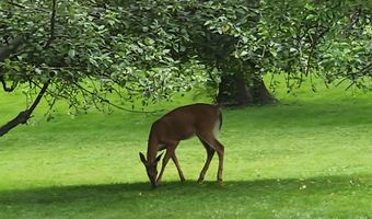 133 Savage Hill Rd, Berlin, CT 06037