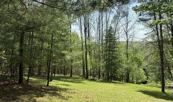 Gold Coast Road, Bridgewater, VT 05034