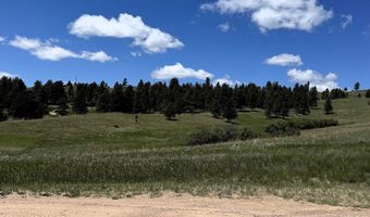 11 Tower Ridge Dr, Devils Tower, WY 82714