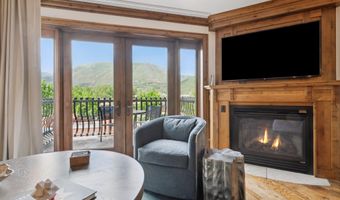 415 E Dean St Unit 15 Week 33, Aspen, CO 81611