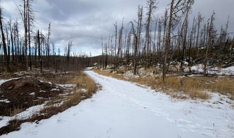 2025 Granite Rd, Bellvue, CO 80512