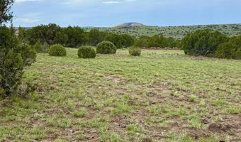 108 Co Rd 8127, Concho, AZ 85924
