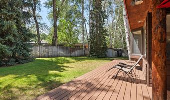1375 Snowbunny Ln, Aspen, CO 81611