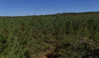 01 Goose Platter Rd, Batesburg, SC 29006