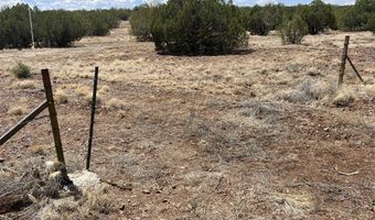 11 Cxx W Old Rte 66, Ash Fork, AZ 86320