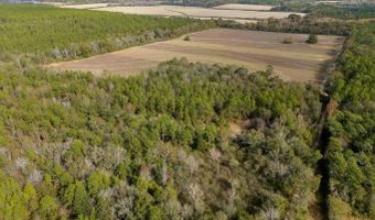 N Bob Brooks Road, Baker, FL 32531