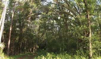 15821 SW 50TH Ave, Archer, FL 32618