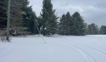 9606 MUNGER Rd, Afton, MI 49705