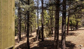 253 Saladon Rd, Angel Fire, NM 87710