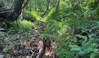 FOX RUN lot 24A 3.22 Ac, Baker, WV 26801