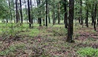 450 Apple Trl, Bogue Chitto, MS 39629