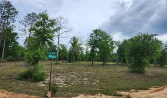 Empire Avenue, Alford, FL 32420