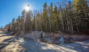 431 N Aspen St, Alma, CO 80420