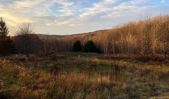 1855 Davis Hollow Rd, Andes, NY 13731