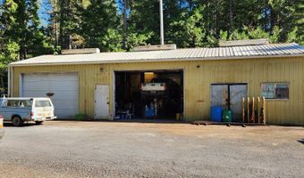 55533 MCKENZIE RIVER Dr, Blue River, OR 97413