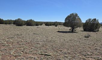 Tanner Rd lot 8B, Ash Fork, AZ 86320
