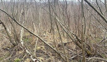 Cr-38, Alma, NY 14708