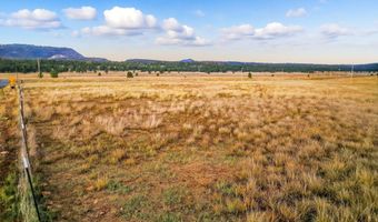 440 2104, Alpine, AZ 85920