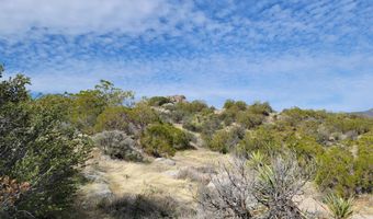 000 Palace Dr, Mountain Center, CA 92561
