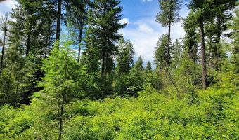 Bootlegger Lane- Parcel 1, Bonners Ferry, ID 83805
