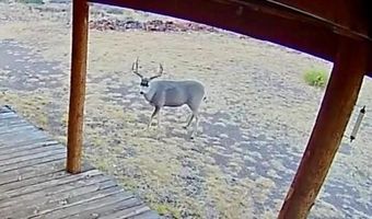 47140 Hwy 118, Alpine, TX 79830