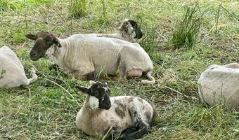 2311 ROCKWOOD Rd, Accokeek, MD 20607