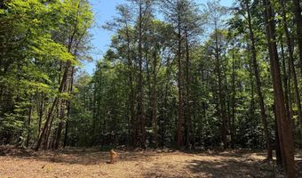 HOLLYWOOD RD, Appomattox, VA 24522
