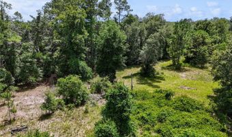 600 SW 15TH Ct, Bell, FL 32619