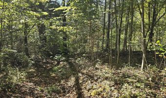 HURT HOLLOW RD, Banco, VA 22711