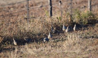 State Highway 214, Adrian, TX 79001