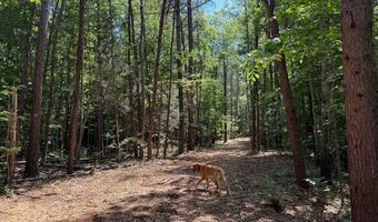 HOLLYWOOD RD, Appomattox, VA 24522