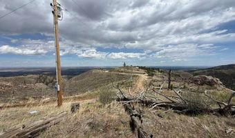 711 Saddle Ridge Rd, Bellvue, CO 80512