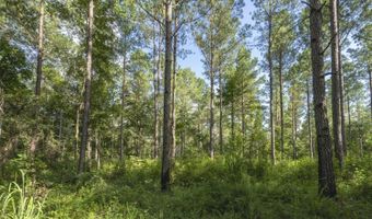0 Hwy 14, Aliceville, AL 35442