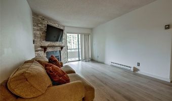 1001 Grandview Dr 11, Breckenridge, CO 80424